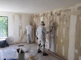 Best Post-Construction Mold Inspection  in Geneva, AL